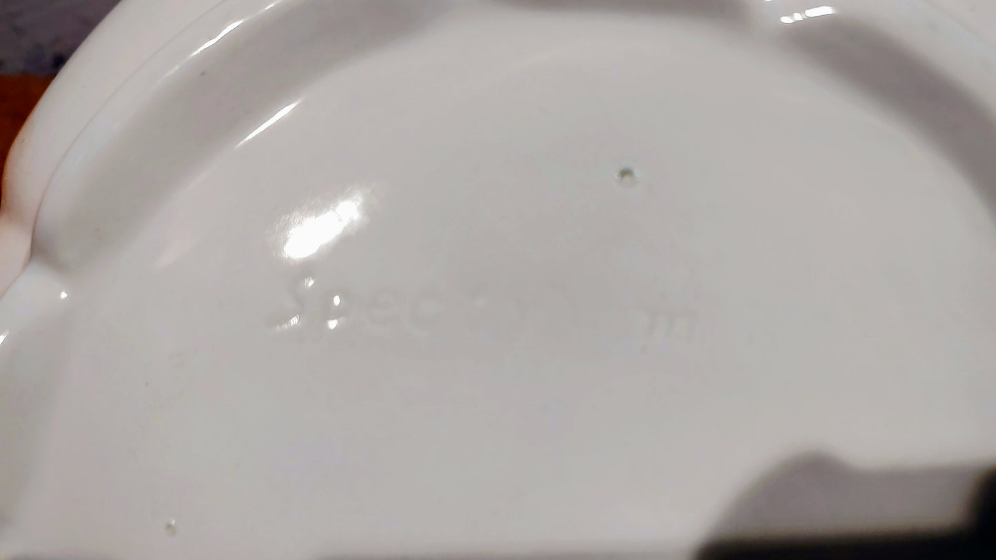 Vintage Ceramic Soup Tureen with Matching Plate and Laddle