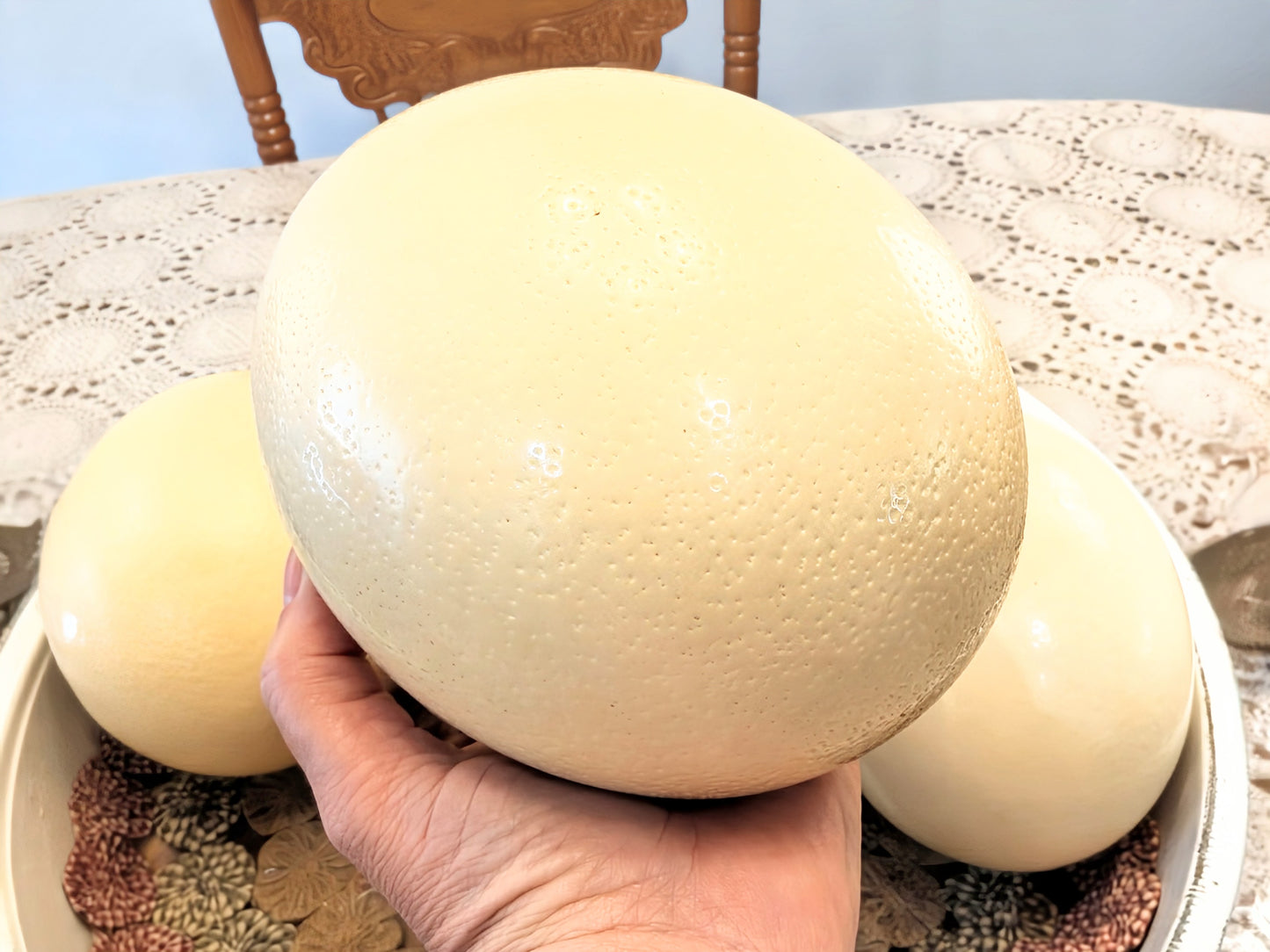 Genuine Ostrich Eggs (Hollow/Blown out)