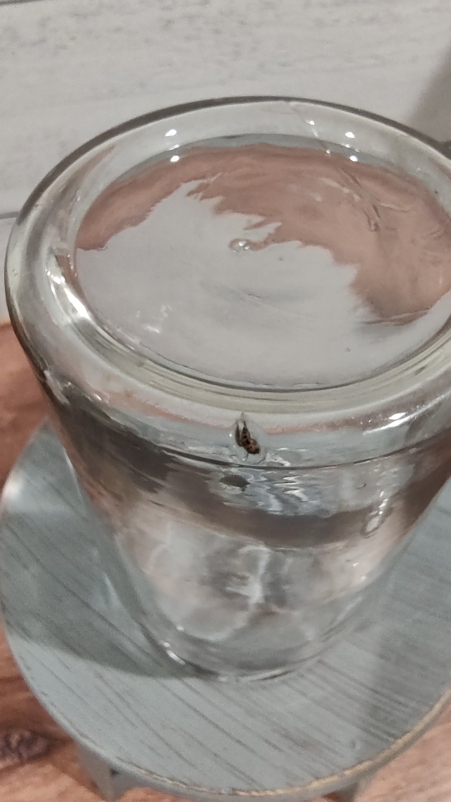 Antique Jar with Glass Presto Cap
