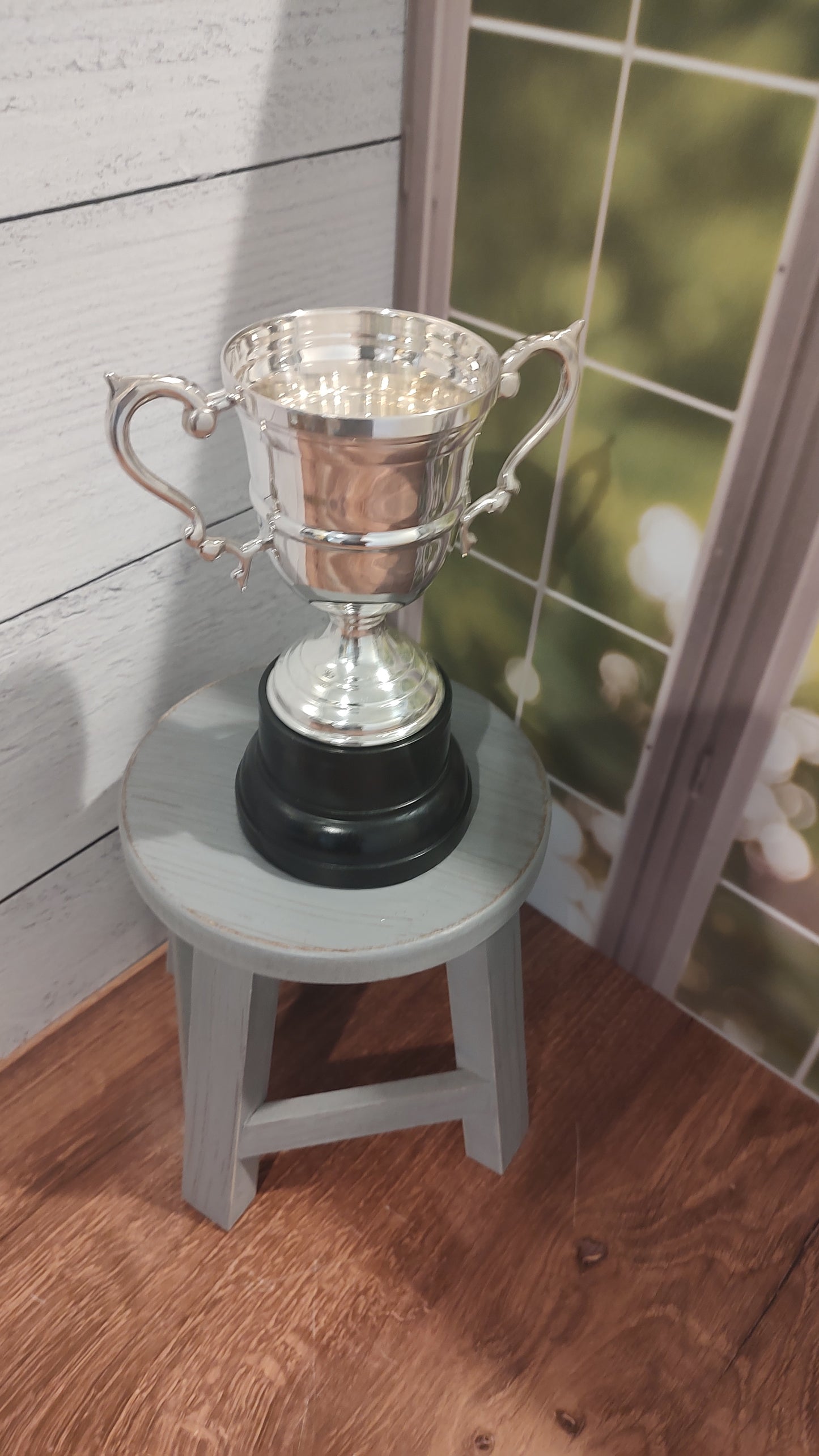 Trophy Silver Metal with Black Metal Base