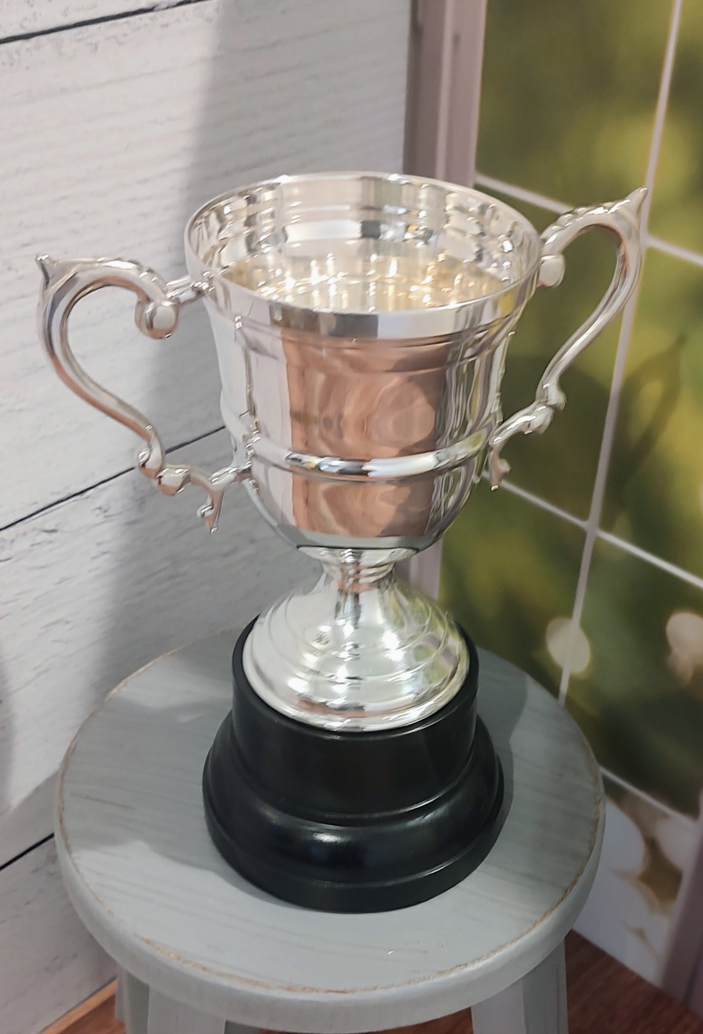 Trophy Silver Metal with Black Metal Base