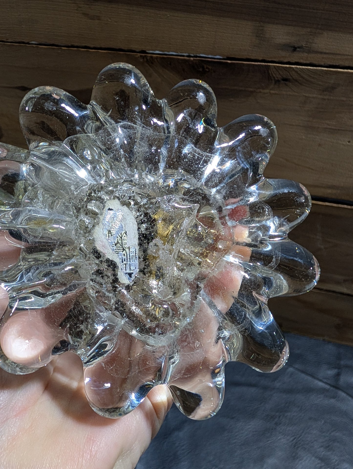 Mid-Century Murano Duck/Swan
