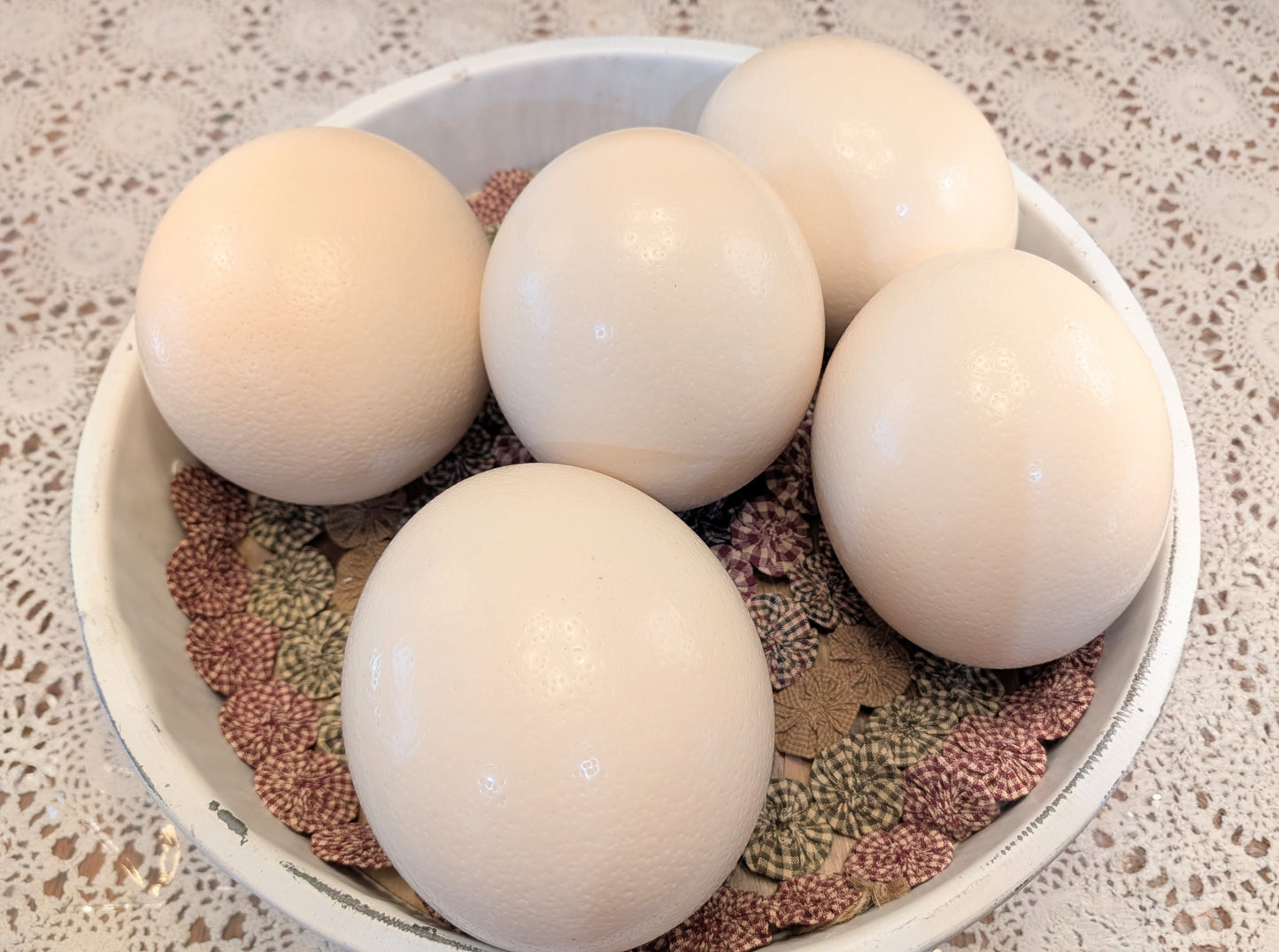 Genuine Ostrich Eggs (Hollow/Blown out)