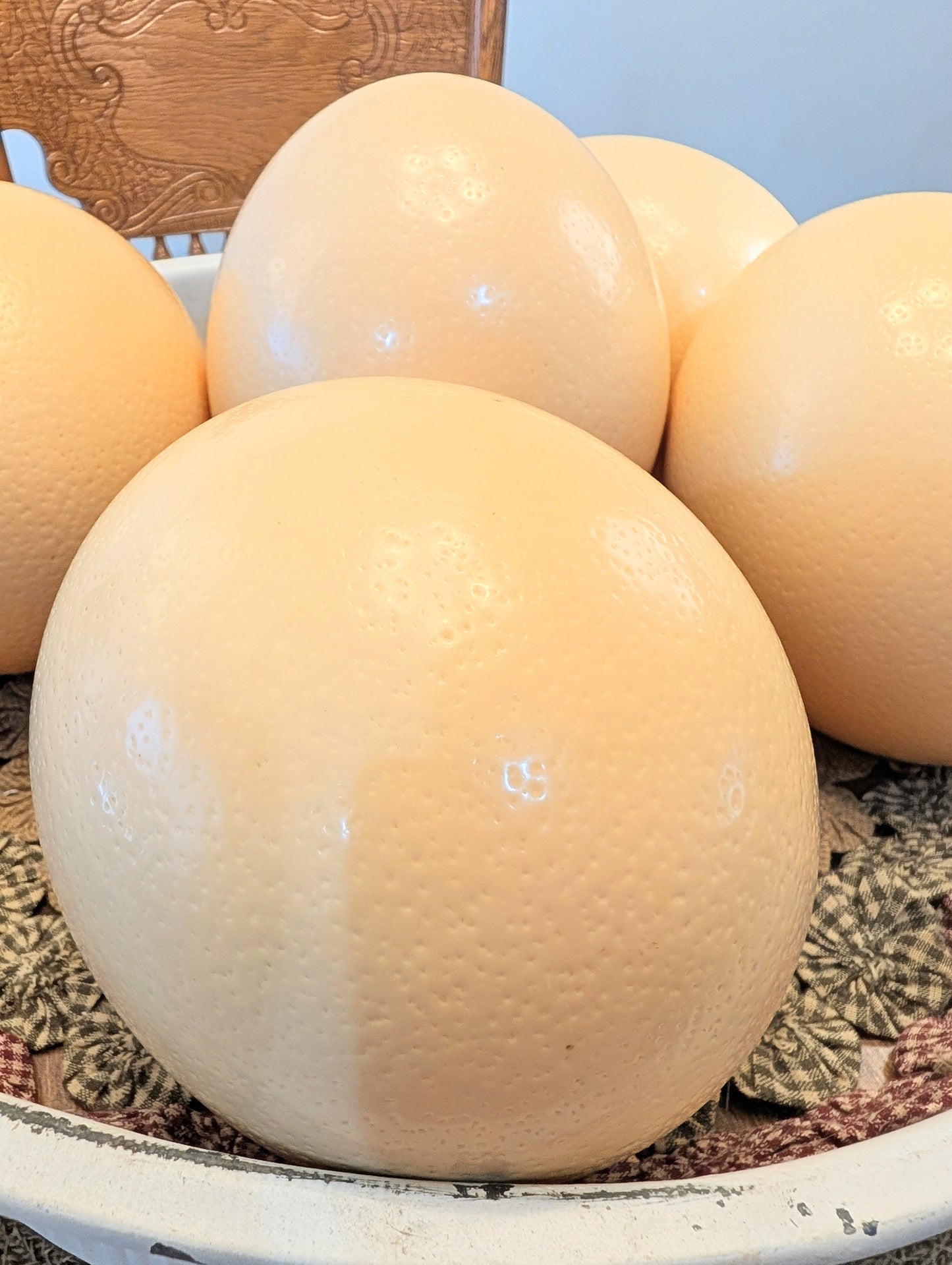 Genuine Ostrich Eggs (Hollow/Blown out)