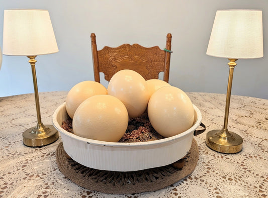 Genuine Ostrich Eggs (Hollow/Blown out)
