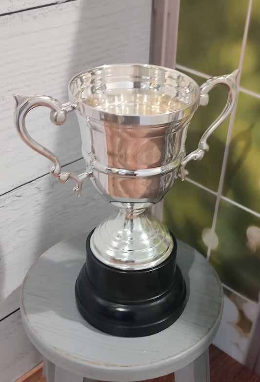 Trophy Silver Metal with Black Metal Base