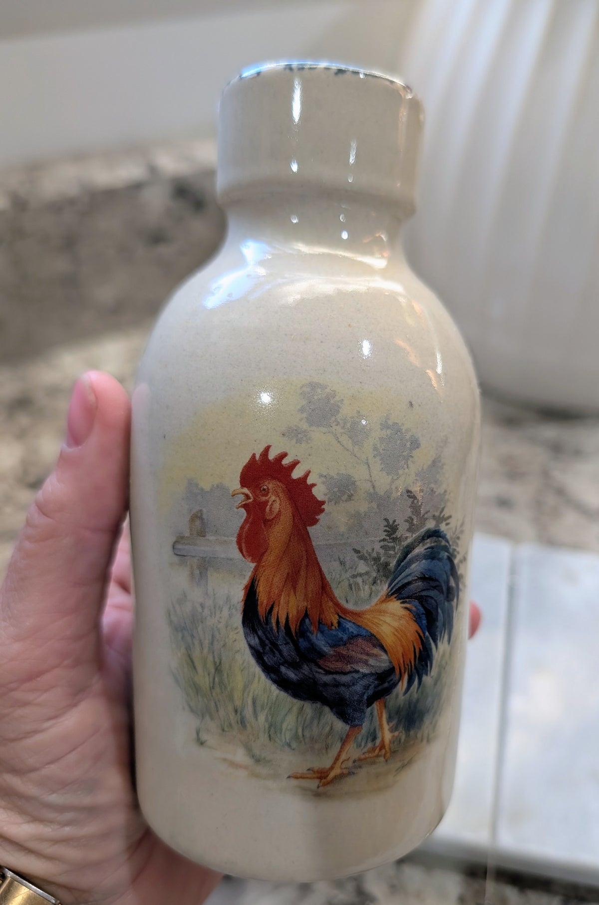 Home & Garden Party Rooster Jug Vase Jar Bottle